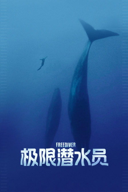 海报背景