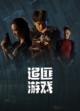 追匪游戏国语版